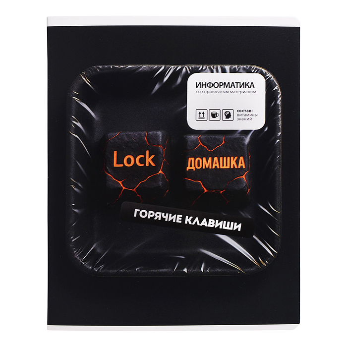 Тетрадь 48 л. клетка "Фразы с характером" Информатика Тетрадь 48 л. клетка "Фразы с характером" Информатика