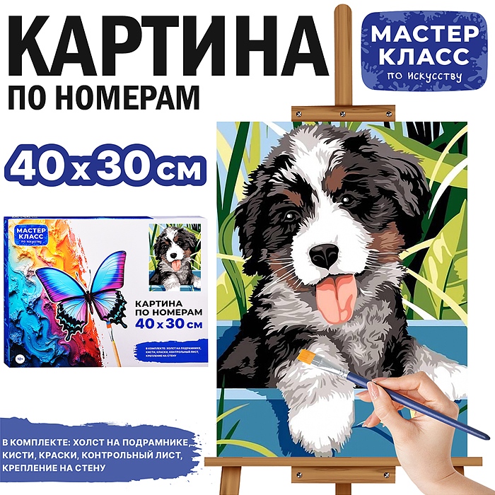 Картина по номерам MKR4030-111 "Бернский зенненхунд." 40*30 см. Картина по номерам MKR4030-111 "Бернский зенненхунд." 40*30 см.