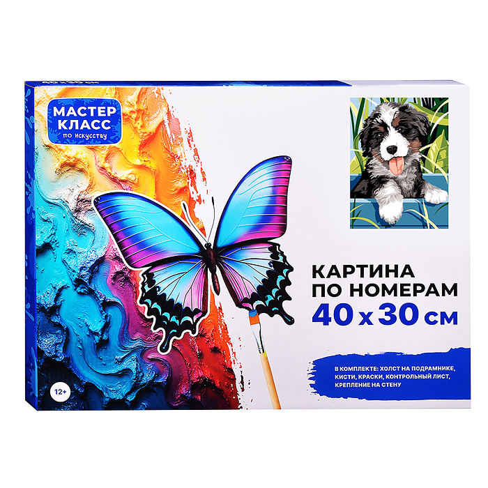 Фото к товару Картина по номерам MKR4030-111 "Бернский зенненхунд." 40*30 см. Картина по номерам MKR4030-111 "Бернский зенненхунд." 40*30 см.