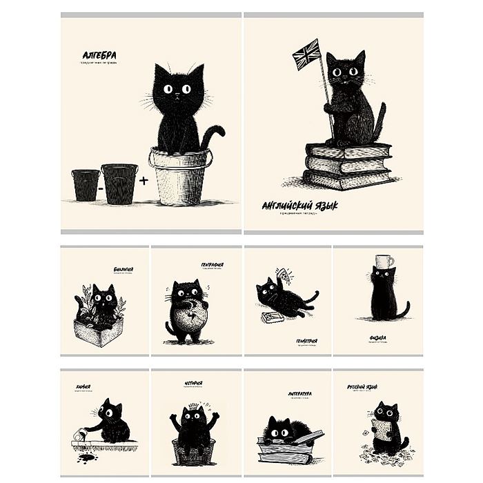 Комплект предметных тетрадей 48л. "Bad cat" тандарт, тиснение холст, вкладыш+пэт 10шт