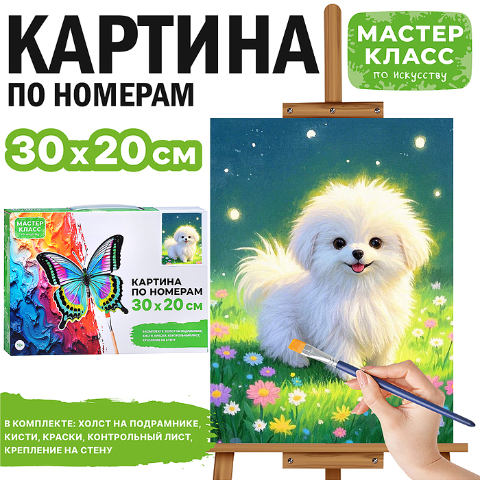 Картина по номерам MKR3020-53 "Щенок мальтезе" 30*20 см.   