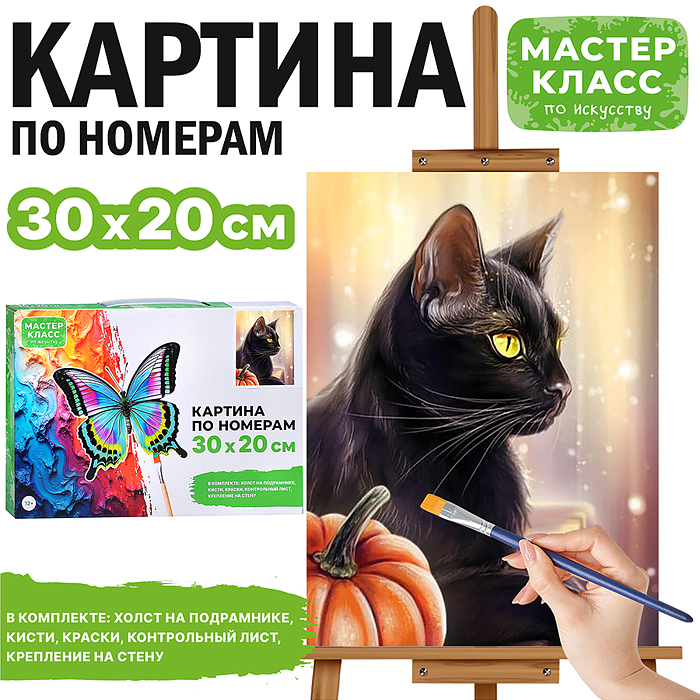 Картина по номерам MKR3020-113 "Черный кот" 30*20  см. 