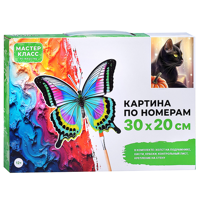 Картина по номерам MKR3020-113 "Черный кот" 30*20  см. 