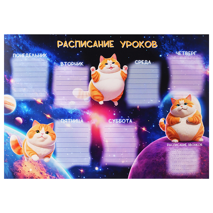 Расписание уроков А4, "Космо-кот" мелованный картон, полноцветная печать, выборочный УФ-лак