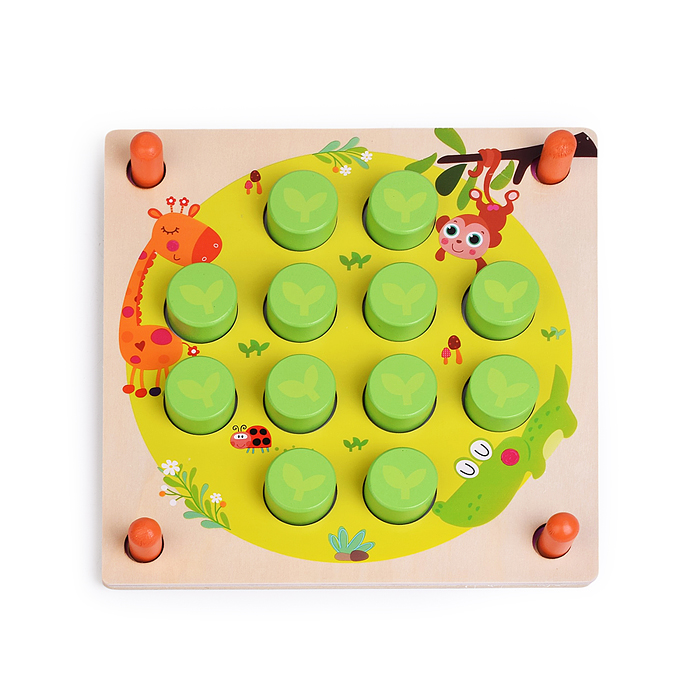 Игра развивающая D2279 