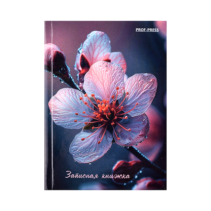 Записная книжка А7 64л. "Красивый цветок" перепл. 7БЦ, глянц. ламинация