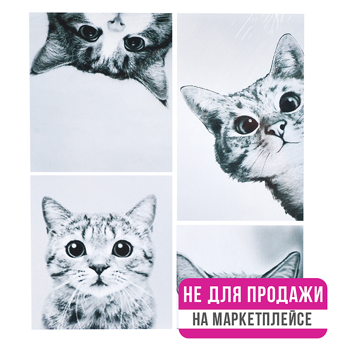 Картина по номерам 40х50 "Мемчики. Наташ, вставай!" (7 цветов)