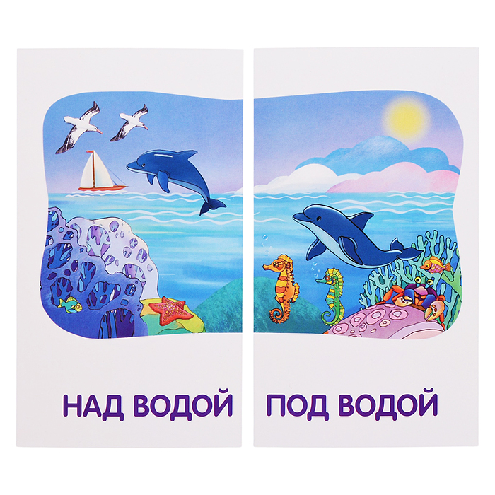 Фото к товару Занимательные карточки. IQ тренажеры. Дошкольное обучение 1. Мяу-гав. Противоположности. 48 карточек Занимательные карточки. IQ тренажеры. Дошкольное обучение 1. Мяу-гав. Противоположности. 48 карточек