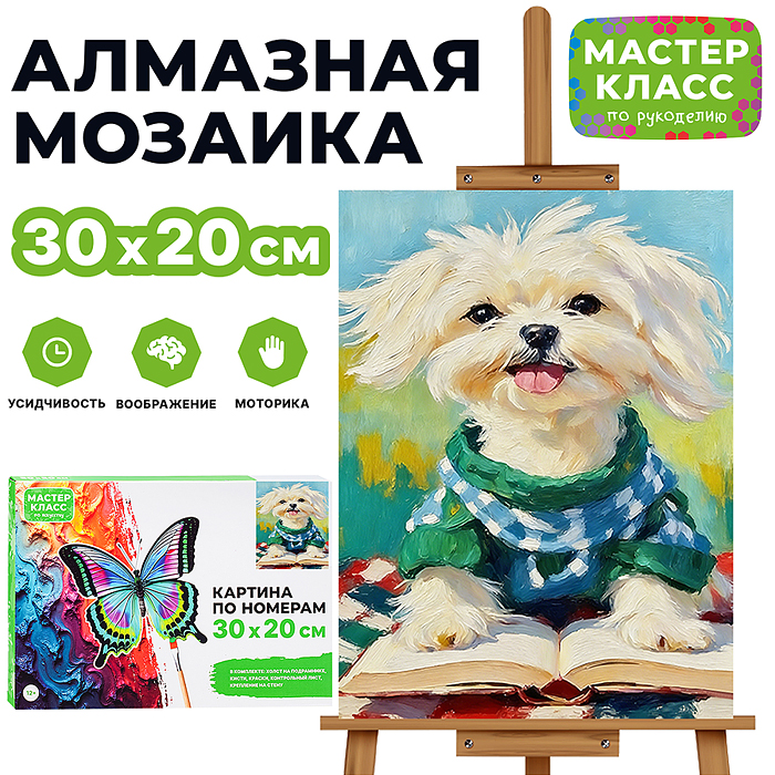 Картина по номерам MKR3020-142 "Читатель" 30х20 см. Картина по номерам MKR3020-142 "Читатель" 30х20 см.
