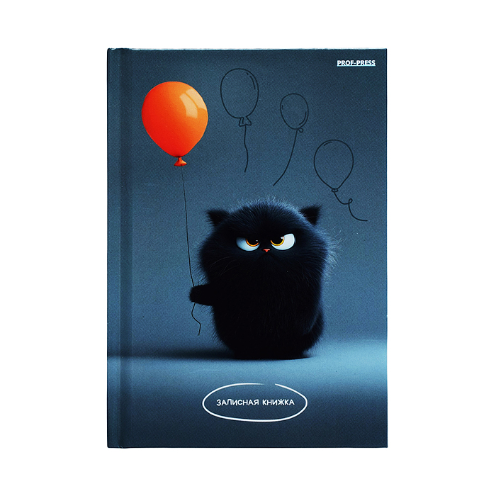 Записная книжка А6 64л. "Угрюмый котик" 7БЦ, глянц. ламинирование, цвет. мелов. обл.
