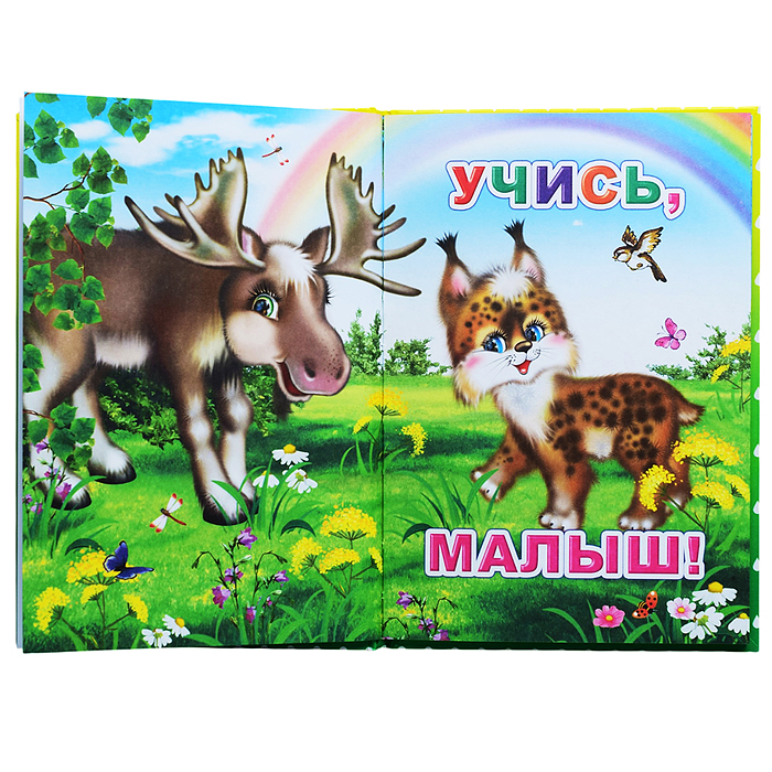 Книга Капелька. Весёлый урок 0+
