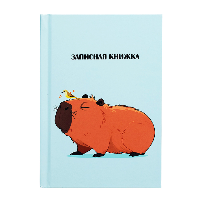 Записная книжка А6 48л. "Капибара-1" 7БЦ, глянц. ламин, цвет. мелов. обл