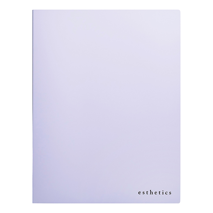 Папка с 60 вкладышами A4 "Esthetics" (230x310x35 мм) полипропилен 700 мкм, фактура "soft-touch"