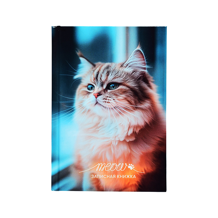 Записная книжка А6 48л. "Фото котика-1" 7БЦ, глянц. ламин, цвет. мелов. обл