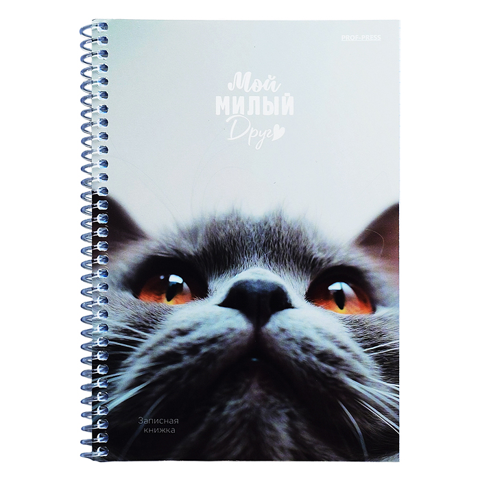 Записная книжка А5 80л. "Мой милый друг" на спирали, обл. мелов. картон
