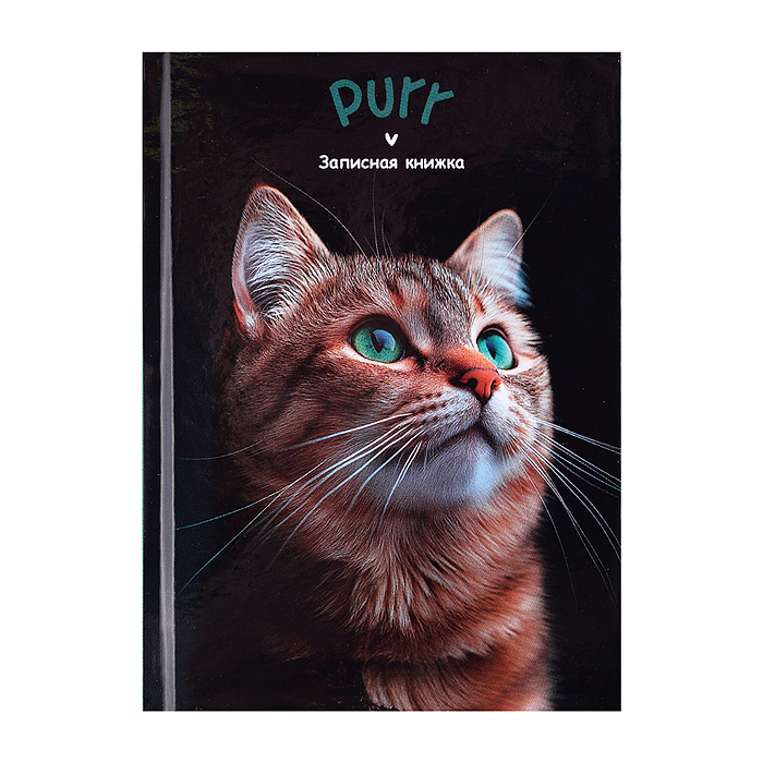 Записная книжка А7 48л. "Зеленоглазый котик - 1" переплет 7БЦ, глянц. ламинация