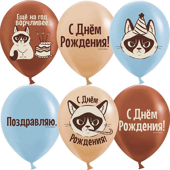 Шар (12''/30 см) С Днем Рождения! (сердитая кошка), Ассорти, пастель, 2 ст, 25 шт.
