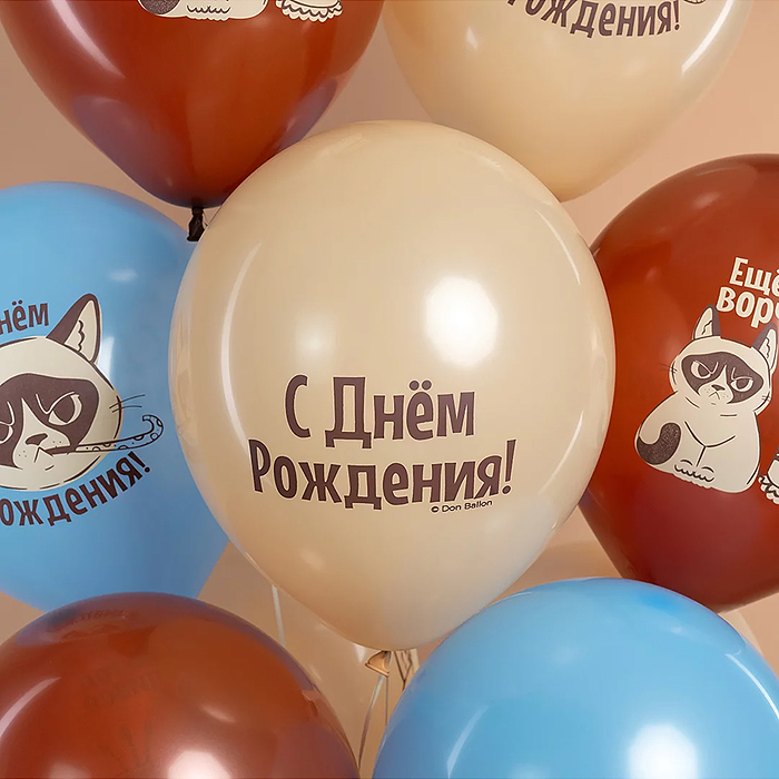 Шар (12''/30 см) С Днем Рождения! (сердитая кошка), Ассорти, пастель, 2 ст, 25 шт.