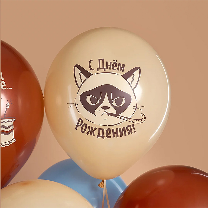 Шар (12''/30 см) С Днем Рождения! (сердитая кошка), Ассорти, пастель, 2 ст, 25 шт.