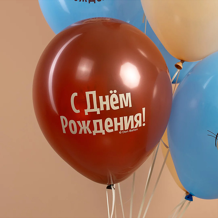 Шар (12''/30 см) С Днем Рождения! (сердитая кошка), Ассорти, пастель, 2 ст, 25 шт.