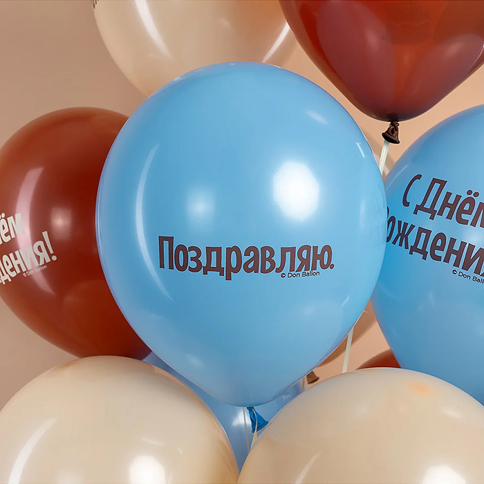 Шар (12''/30 см) С Днем Рождения! (сердитая кошка), Ассорти, пастель, 2 ст, 25 шт.