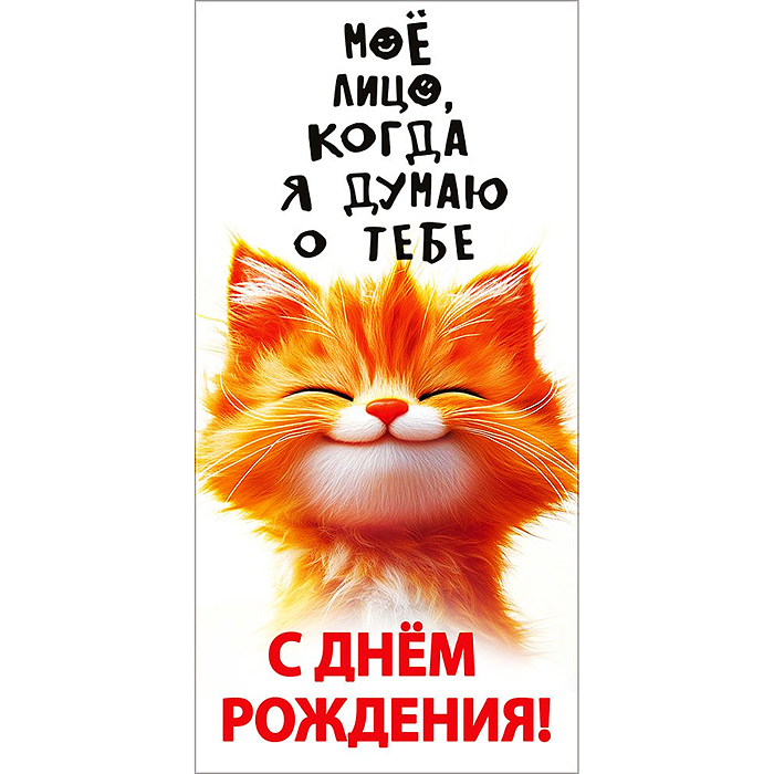 Конверт для денег "С днём рождения!" (рыжий кот) Конверт для денег "С днём рождения!" (рыжий кот)