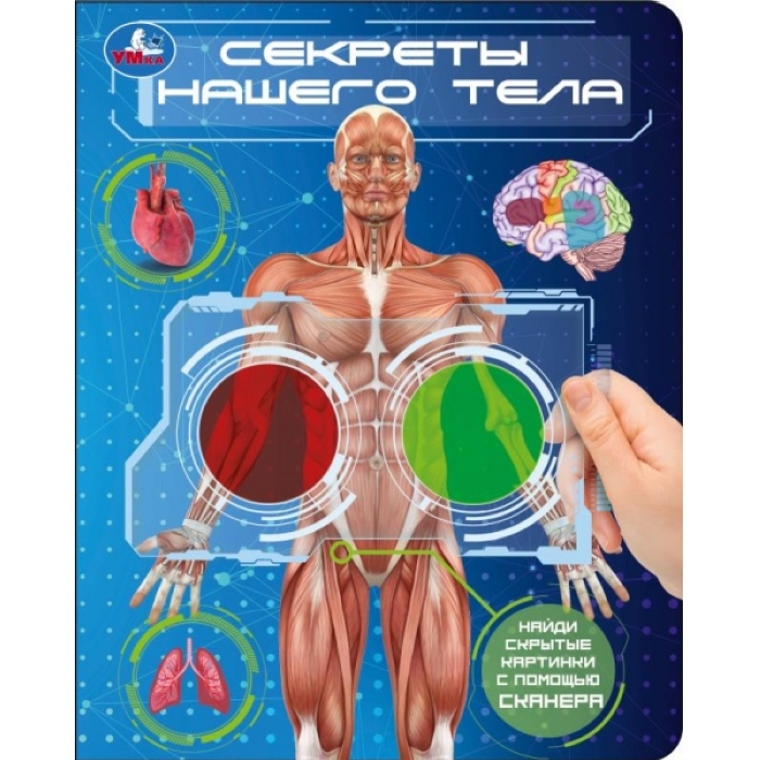 Секреты нашего тела. (книга с цвет. лупами) 160х200 10стр. Секреты нашего тела. (книга с цвет. лупами) 160х200 10стр.