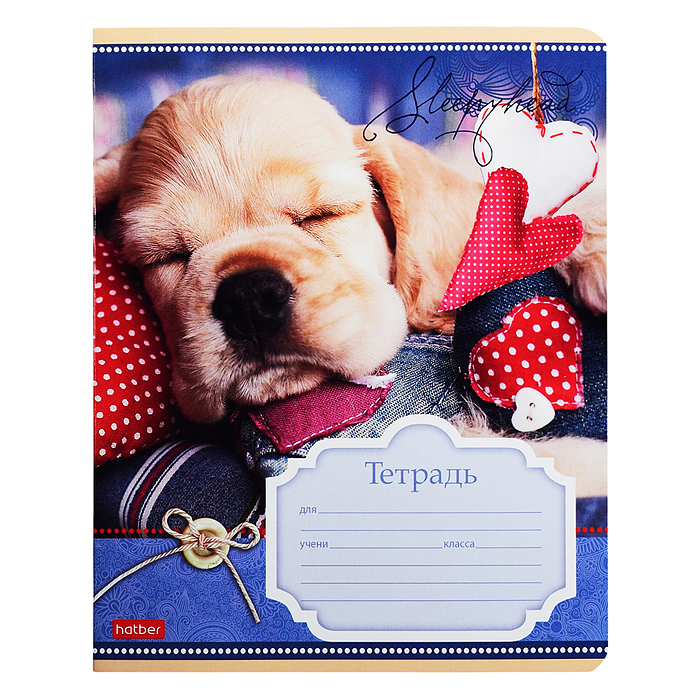 Фото к товару Тетрадь 12л. клетка "Сони-Засони" А5ф на скобе Тетрадь 12л. клетка "Сони-Засони" А5ф на скобе