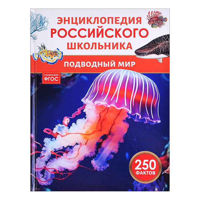 Подводный мир. Энциклопедия российского школьника Подводный мир. Энциклопедия российского школьника