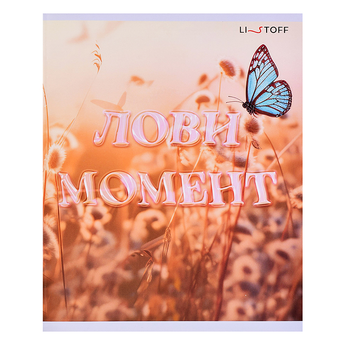 Тетрадь 40л. клетка "Лови момент!" скрепка А5 обл.: мел. картон, бум. оф.60 г/м2. поля, в уп. 5 видо
