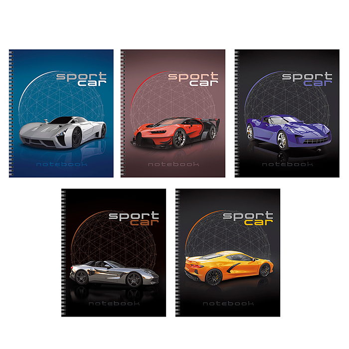 Тетрадь 80л. клетка "Sport car" гребень А5 обл.:выб. лак, бум. оф.60 г/м2, в уп. 5 видов, уп./гофр.п
