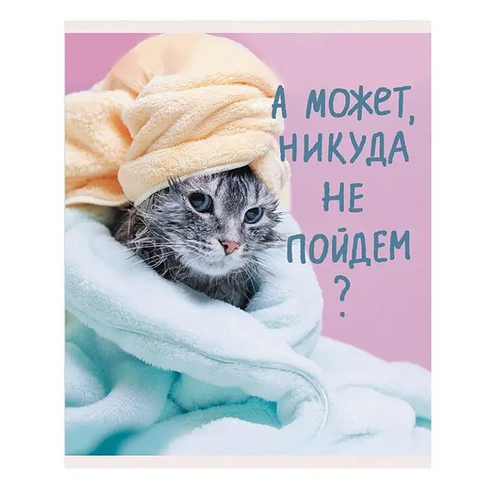 Тетрадь 48л. линия "Утро кошечки" скрепка А5